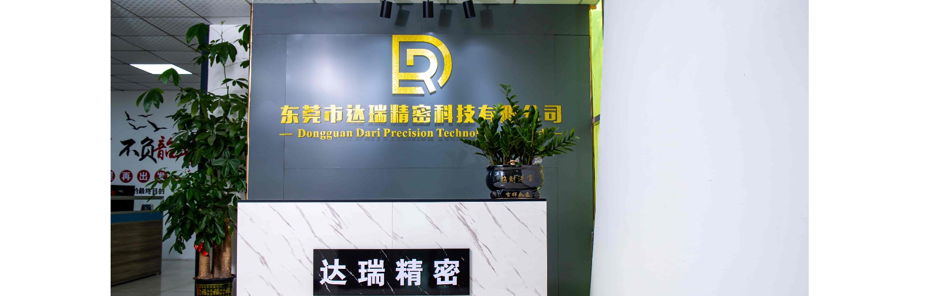 múnla plaisteach, múnlú insteallta, sliogán plaisteach,Dongguan Darui Precision Technology Co., Ltd.